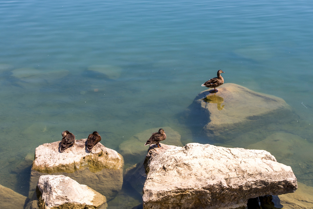 lac de la ramée