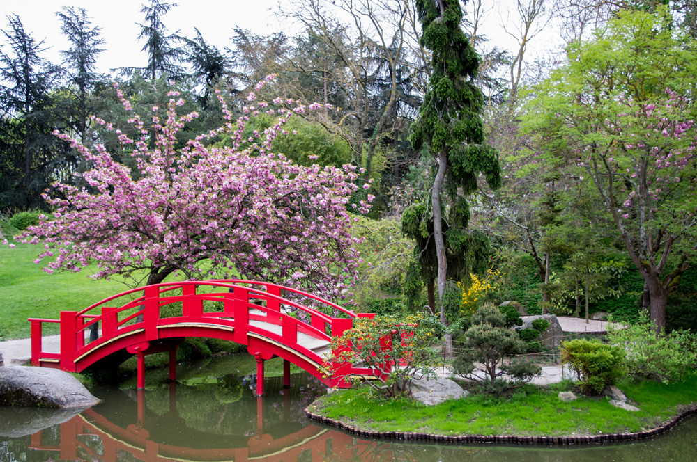 toulouse jardin japonais printemps