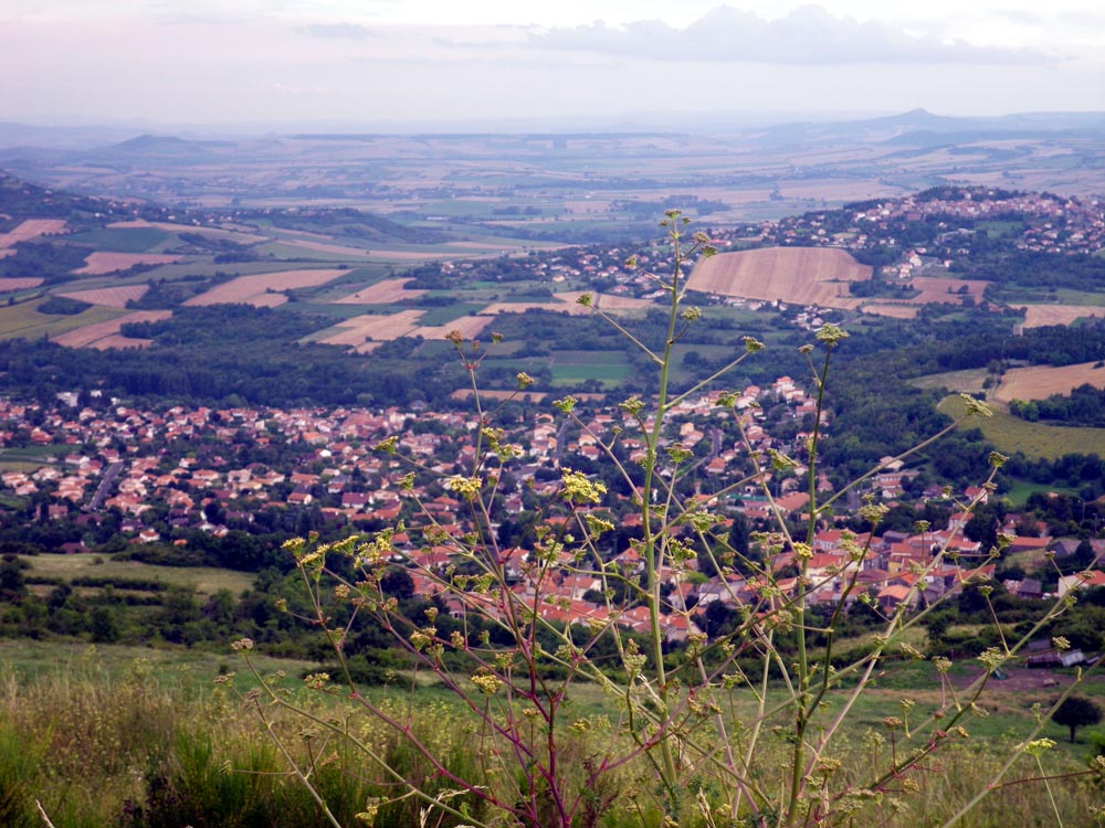 plateau de gergovie 