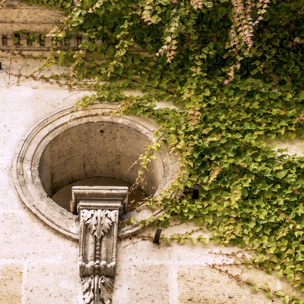 jardin botanique bordeaux