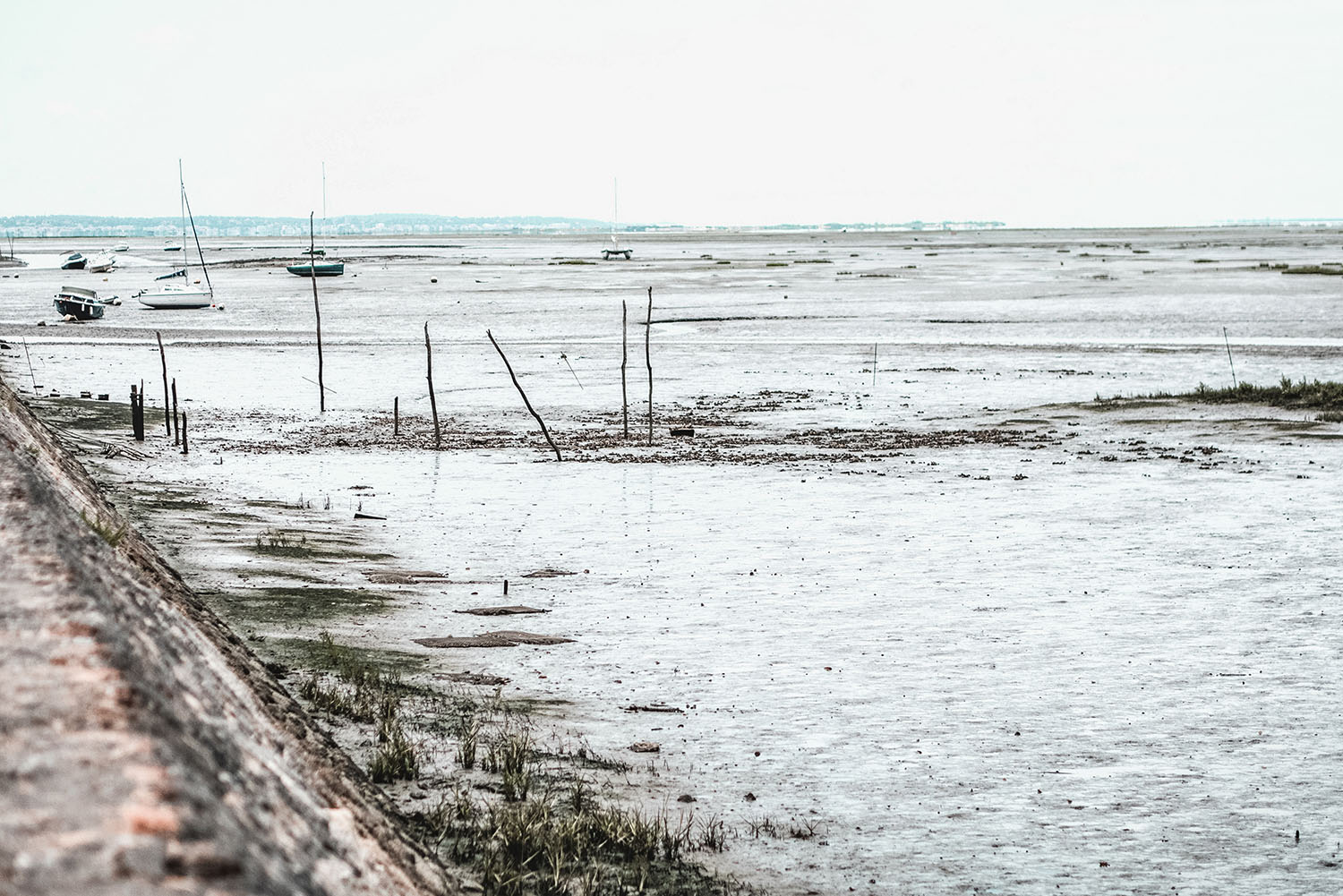 découvrir les landes