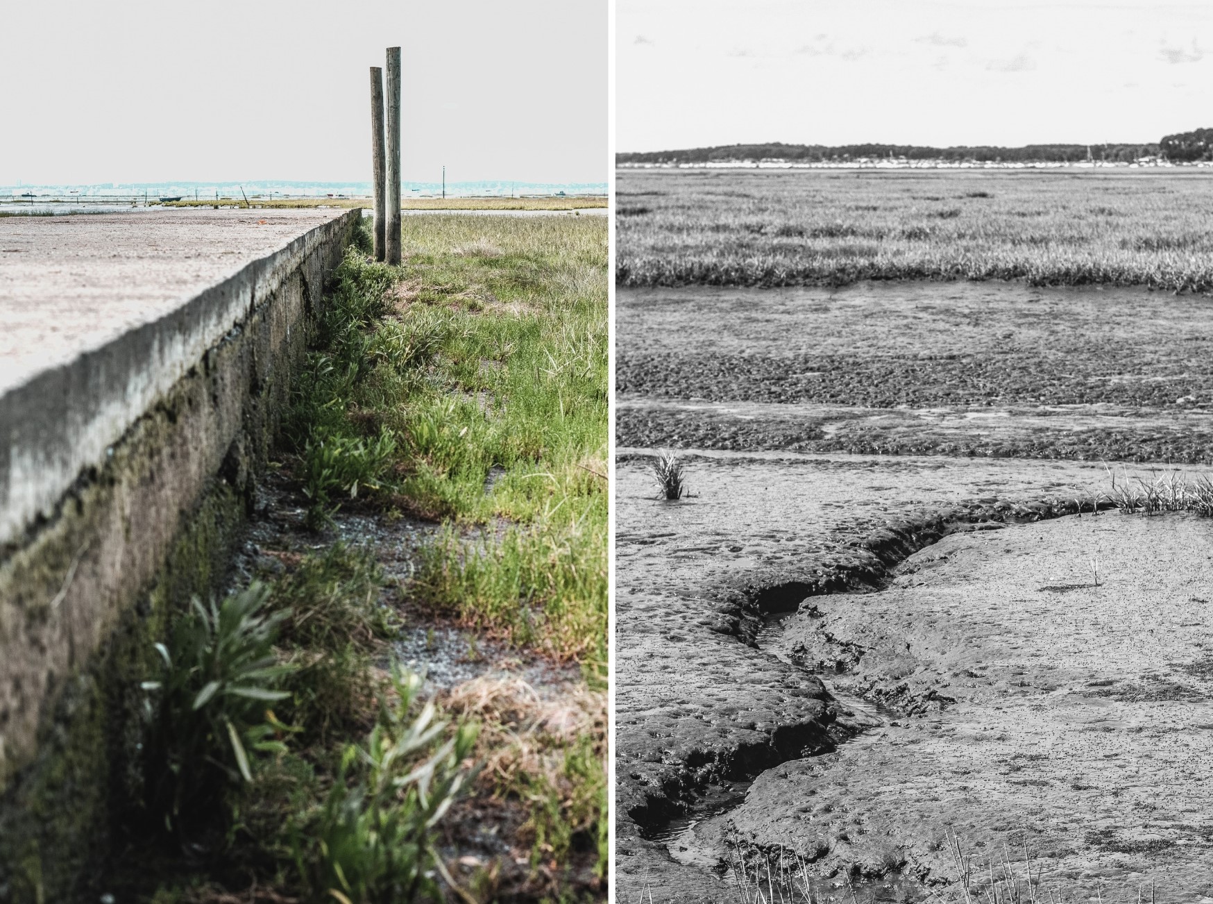 découvrir les landes