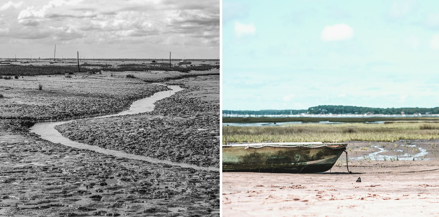 découvrir les landes