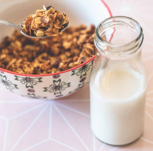 granola lait végétal maison