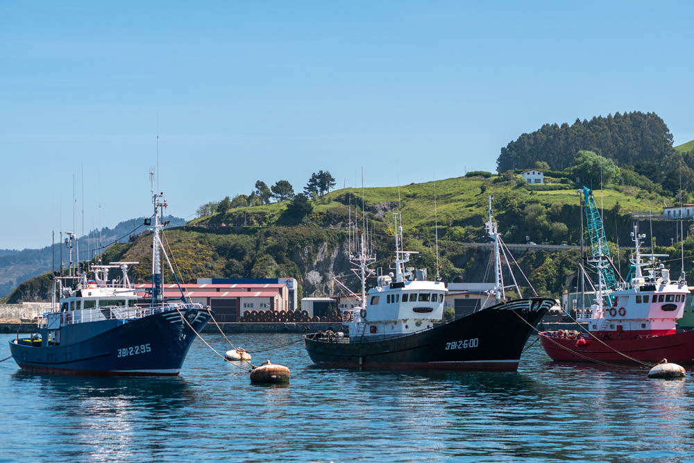 bermeo