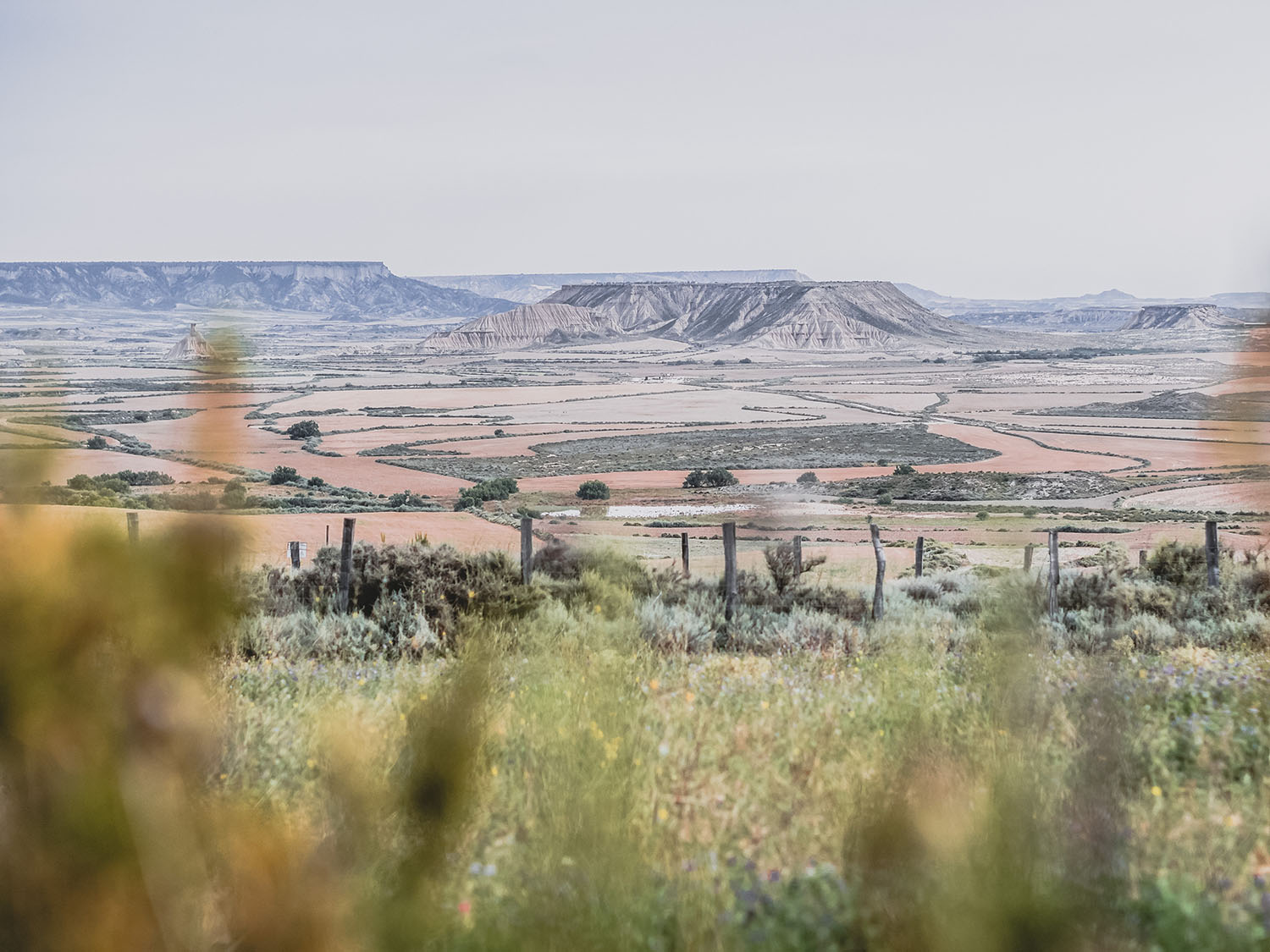 bardenas reales