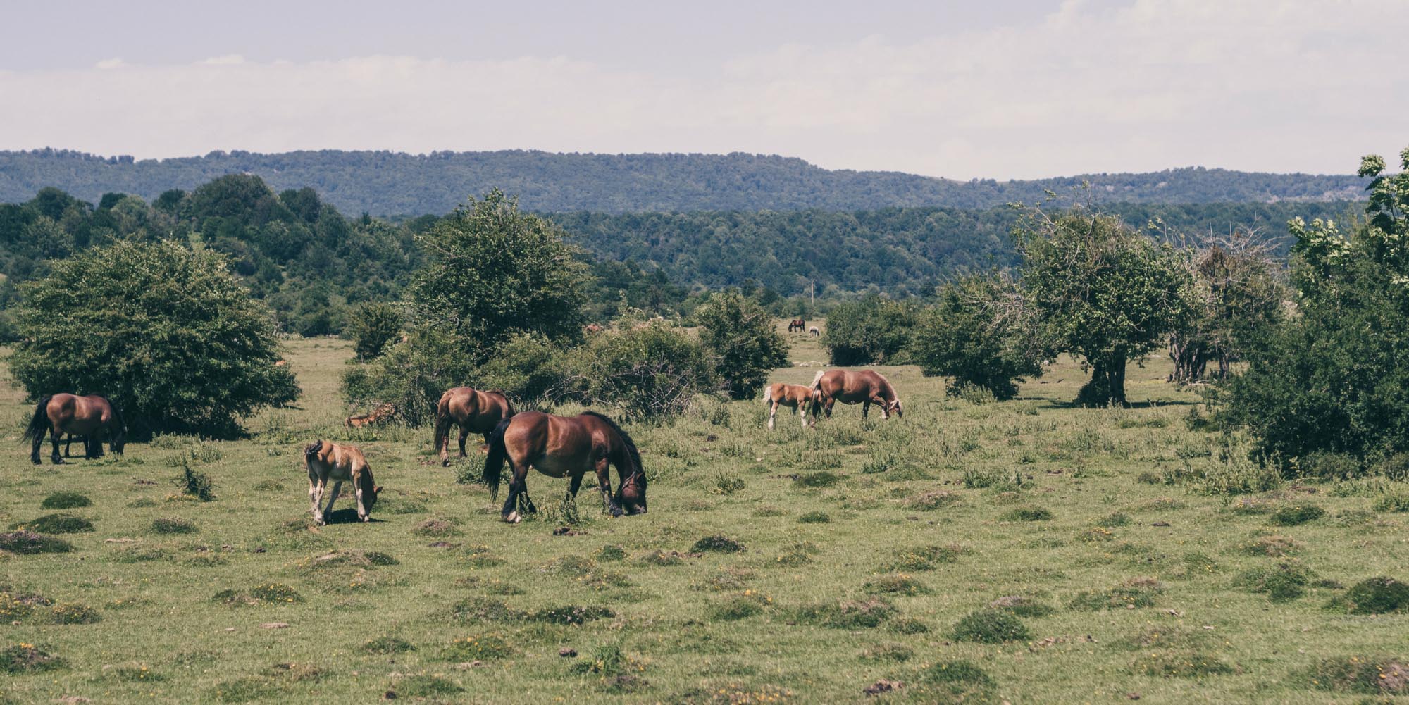 source de l'urederra