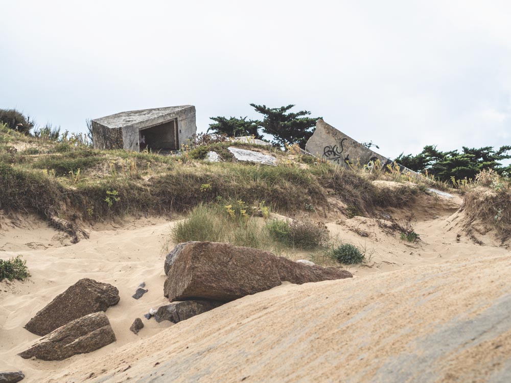 ile de ré été 2017