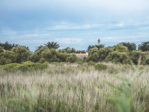 ile de ré été 2017