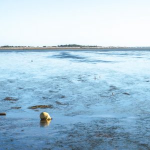 ile de ré été 2017