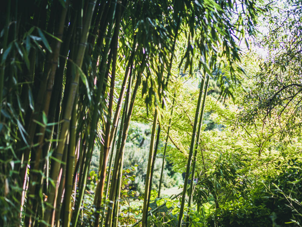 toulouse jardin japonais