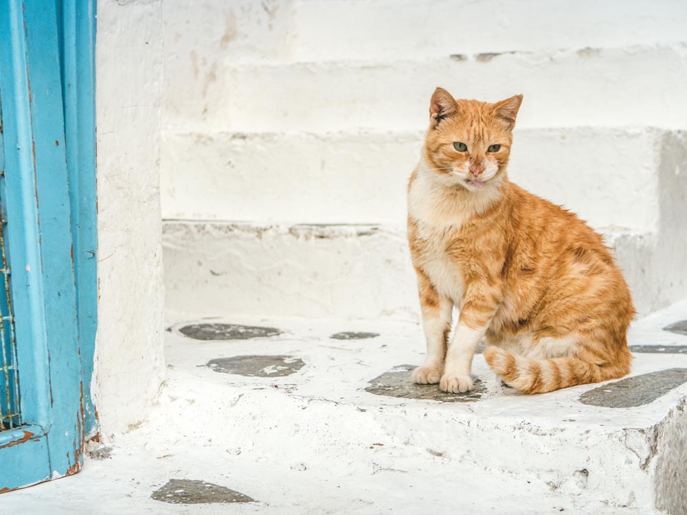 escapade mykonos