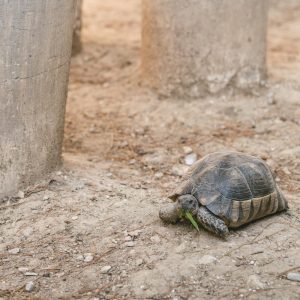 visiter athènes bons plans