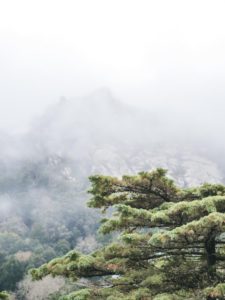 sintra portugal