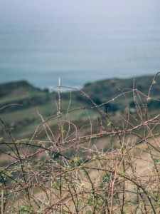 jaizkibel excursion pays basque