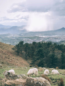 jaizkibel excursion pays basque