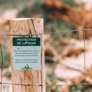 excursion ile d'oléron