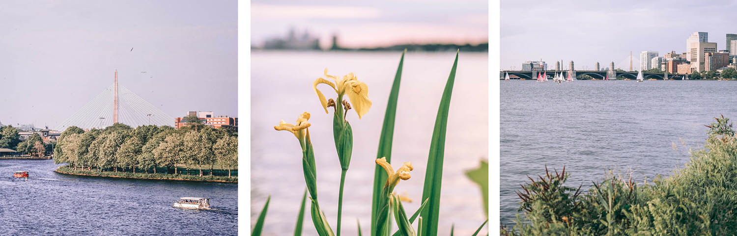 ma vie à boston - charles river 