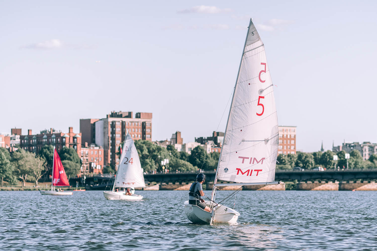 voile sur la charles river