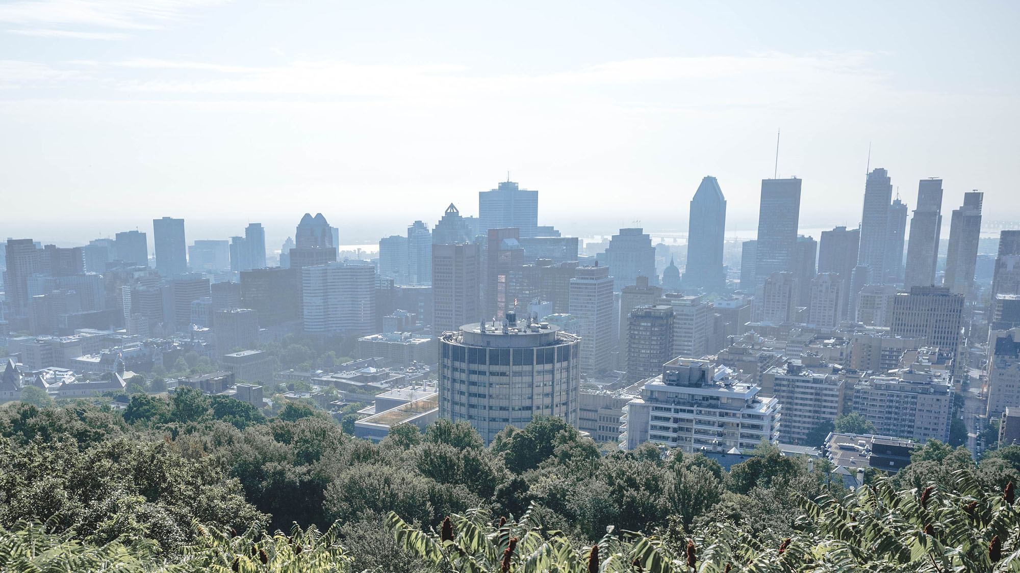 Cap sur Montréal - une