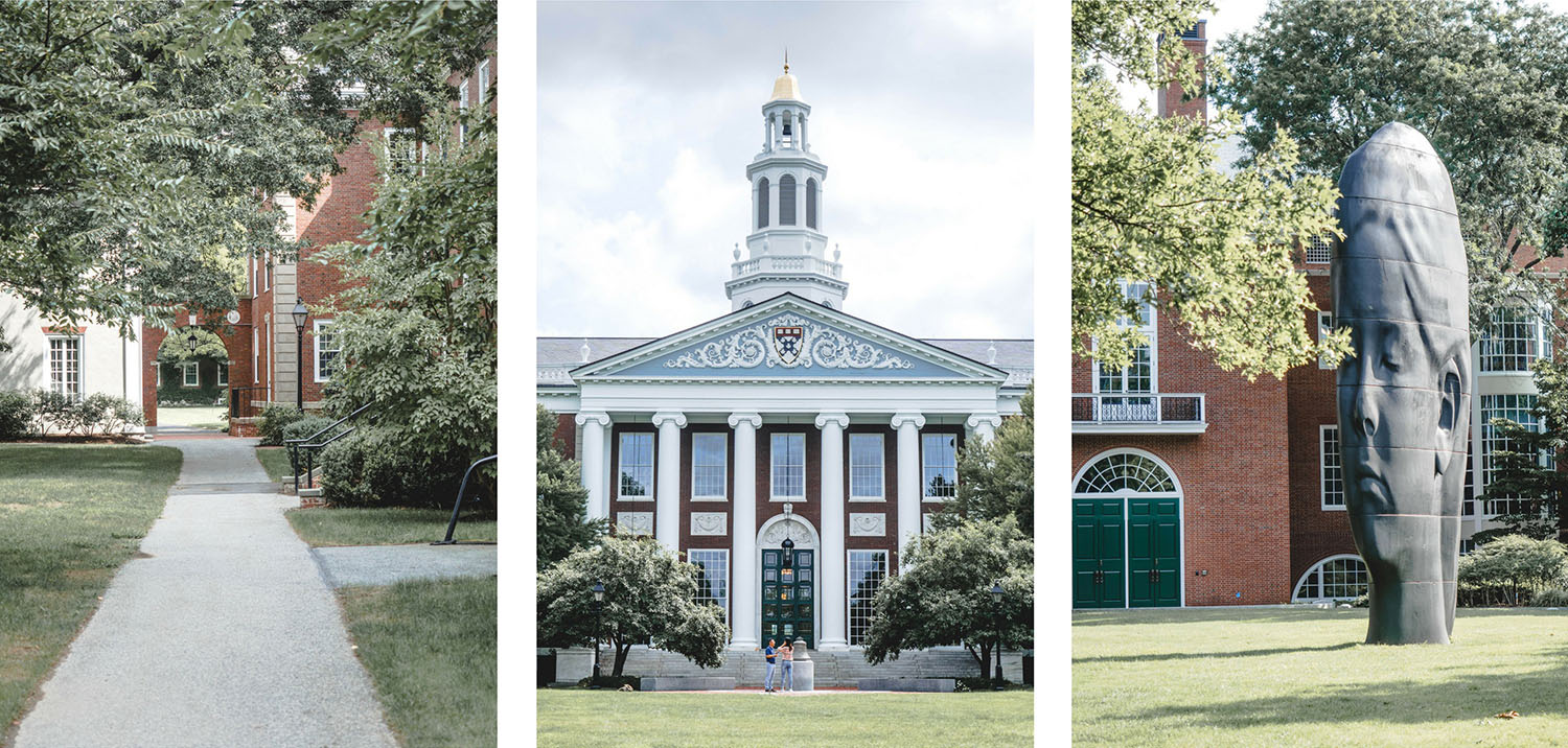 harvard business school