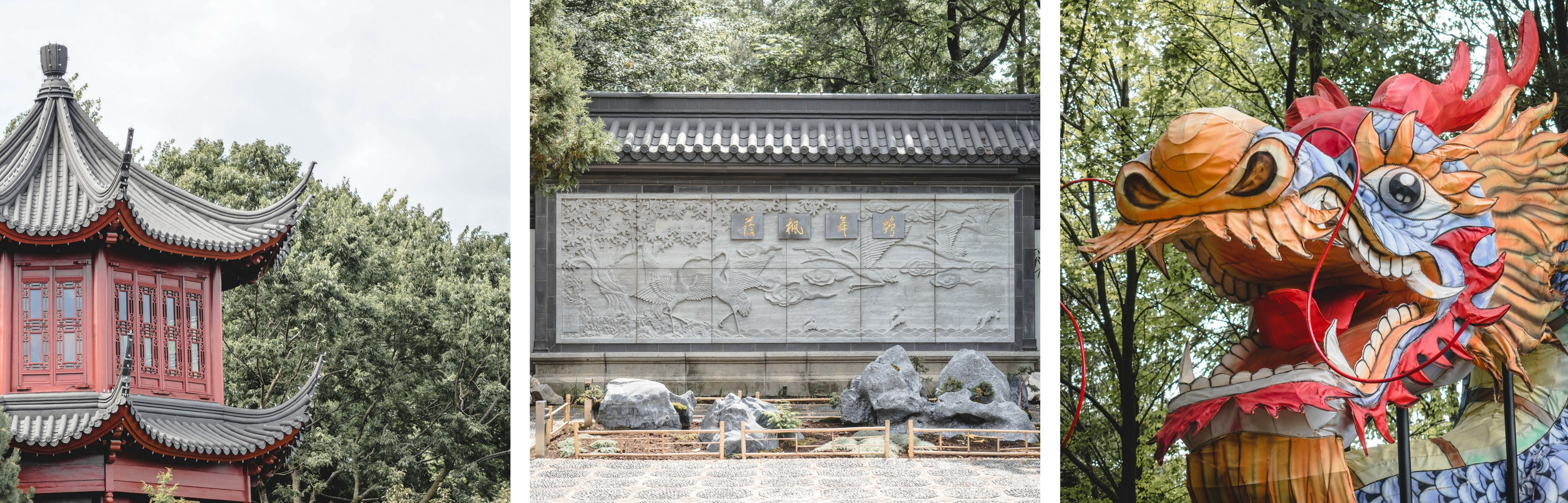 jardin botanique chinois