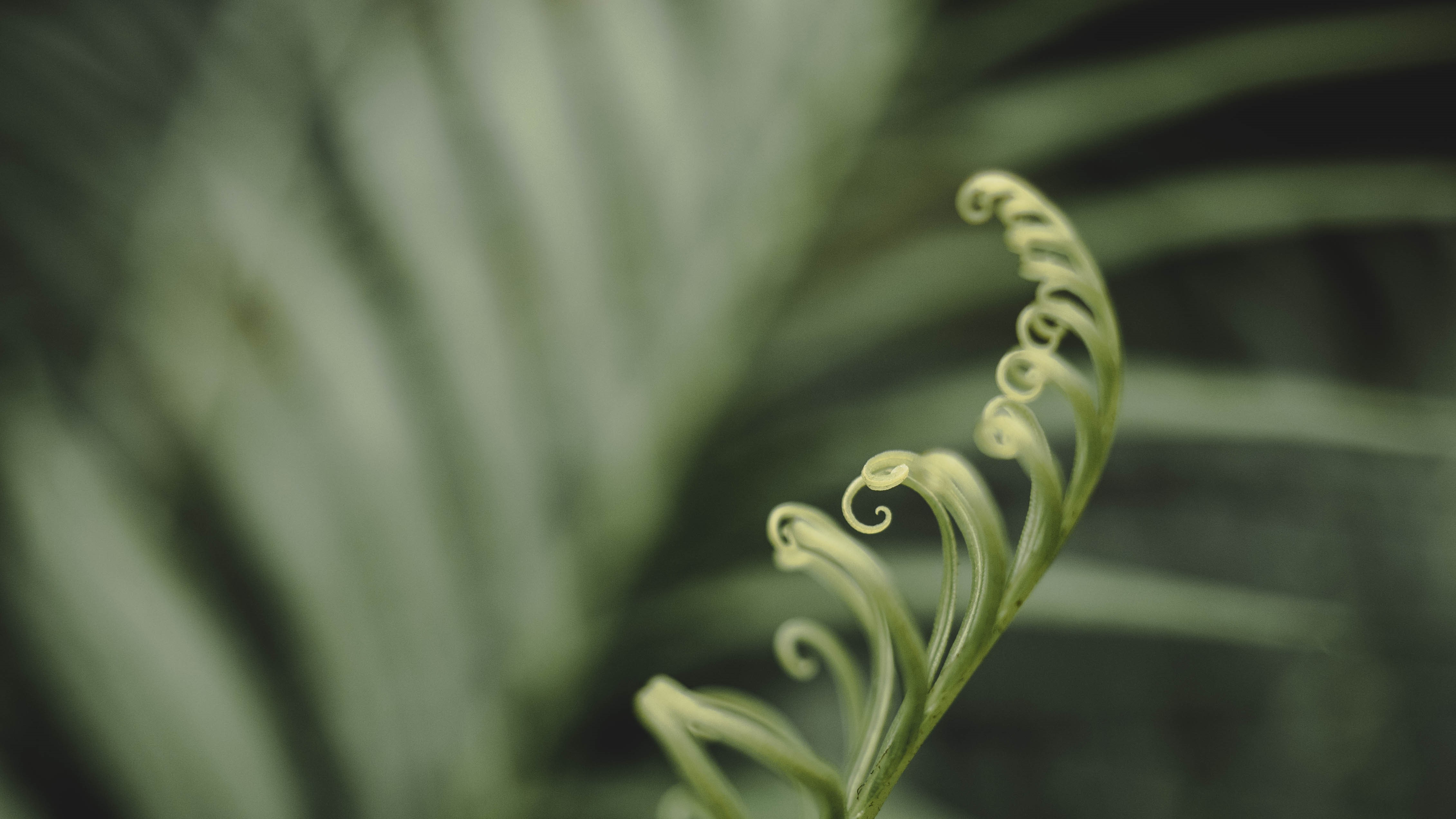 jardin botanique de montréal