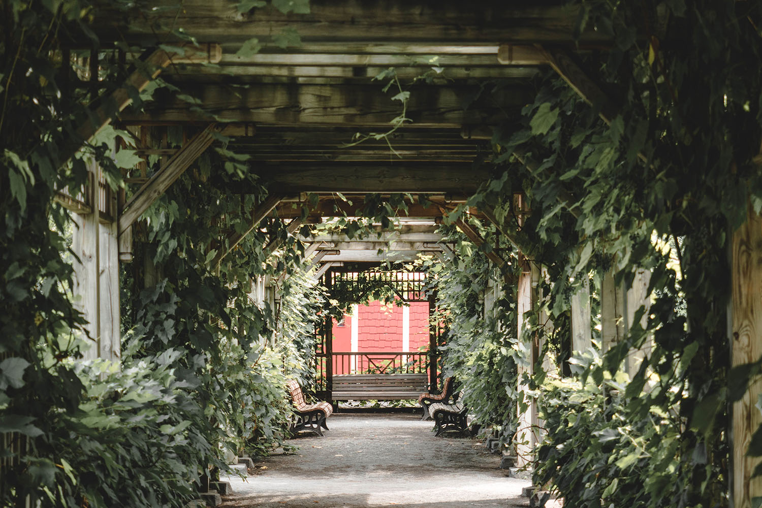 jardin botanique de montréal (7)