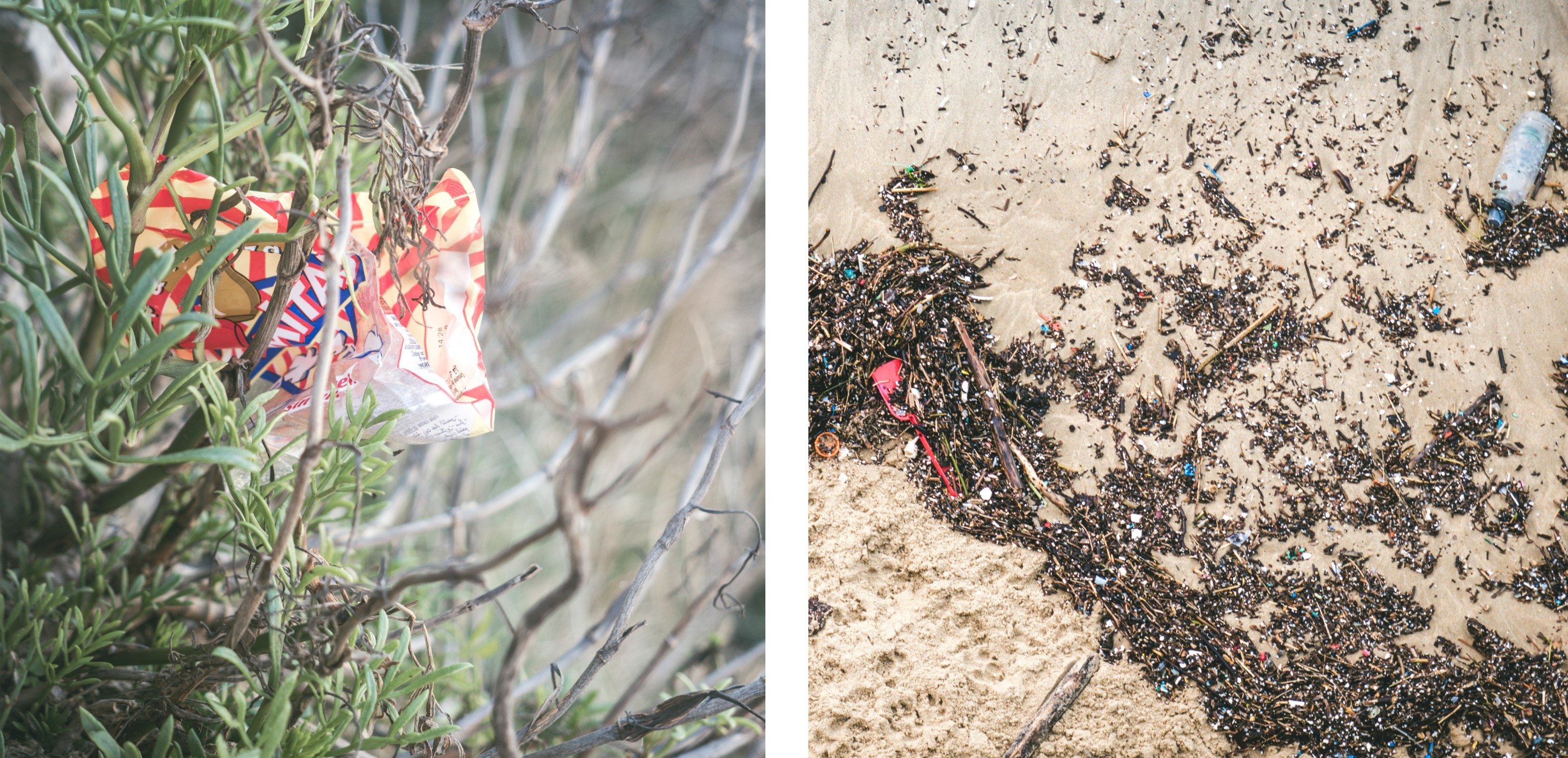 plastique en pleine nature