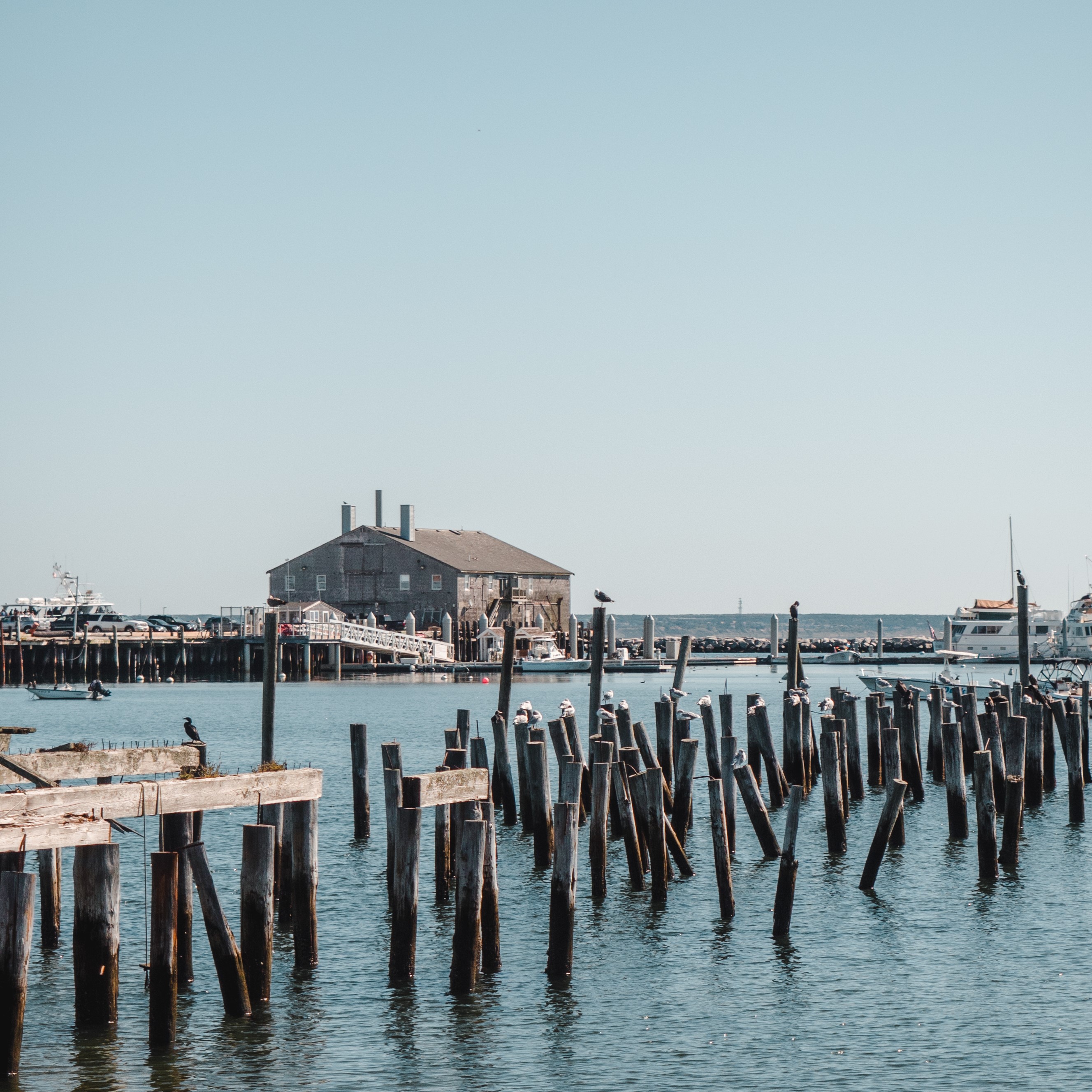 tourisme à cape cod