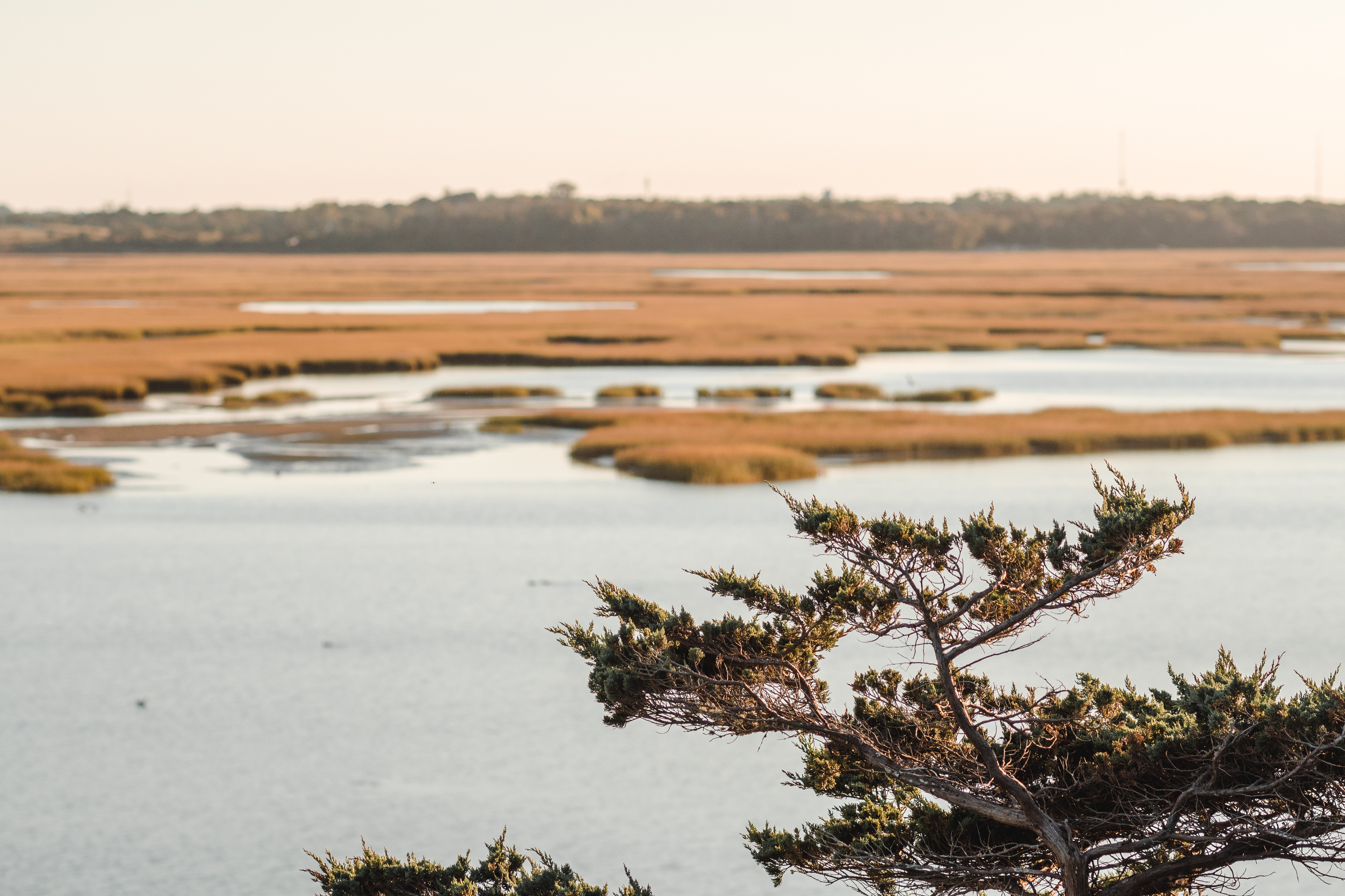 tourisme à cape cod