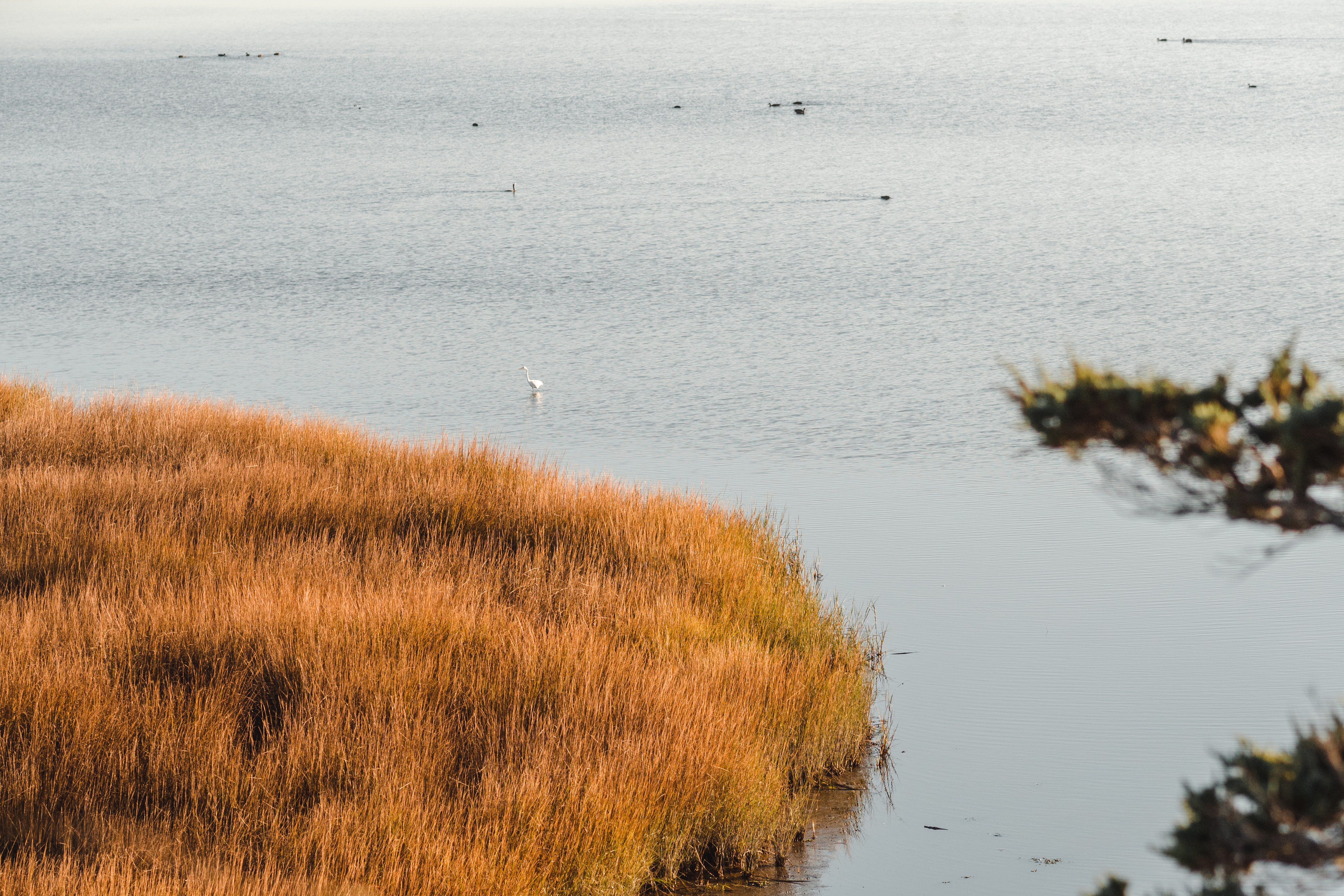 tourisme à cape cod