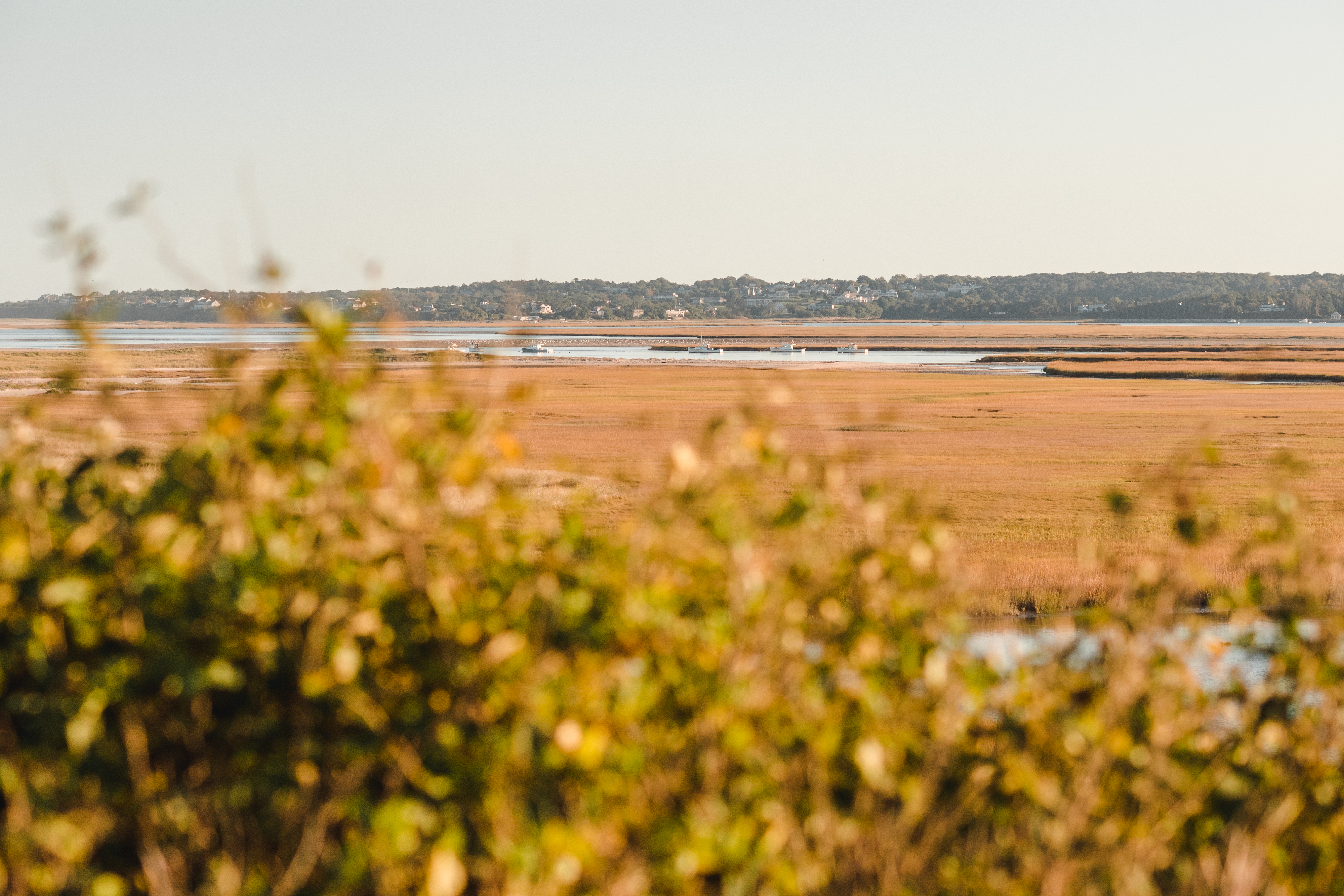 tourisme à cape cod