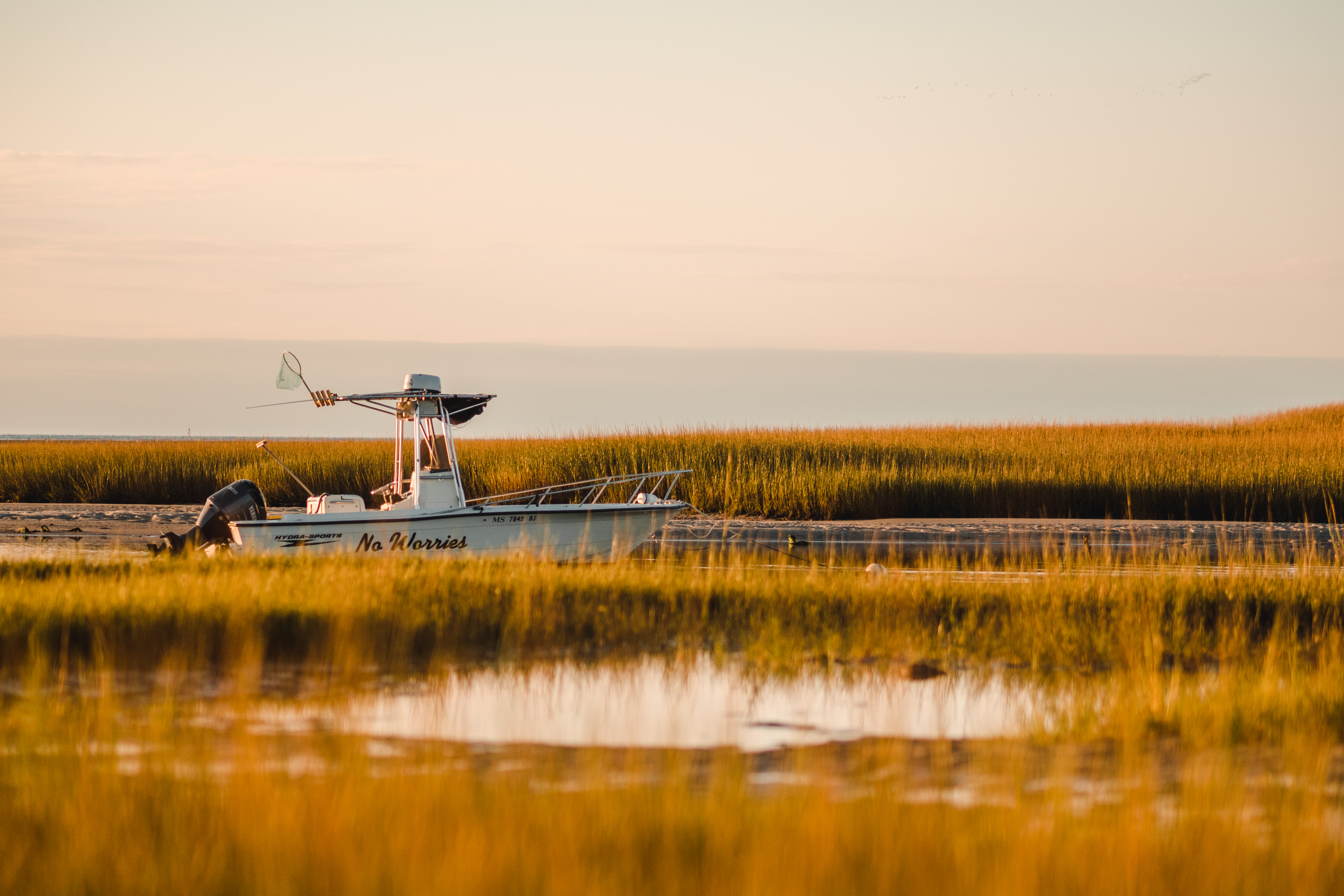 tourisme à cape cod