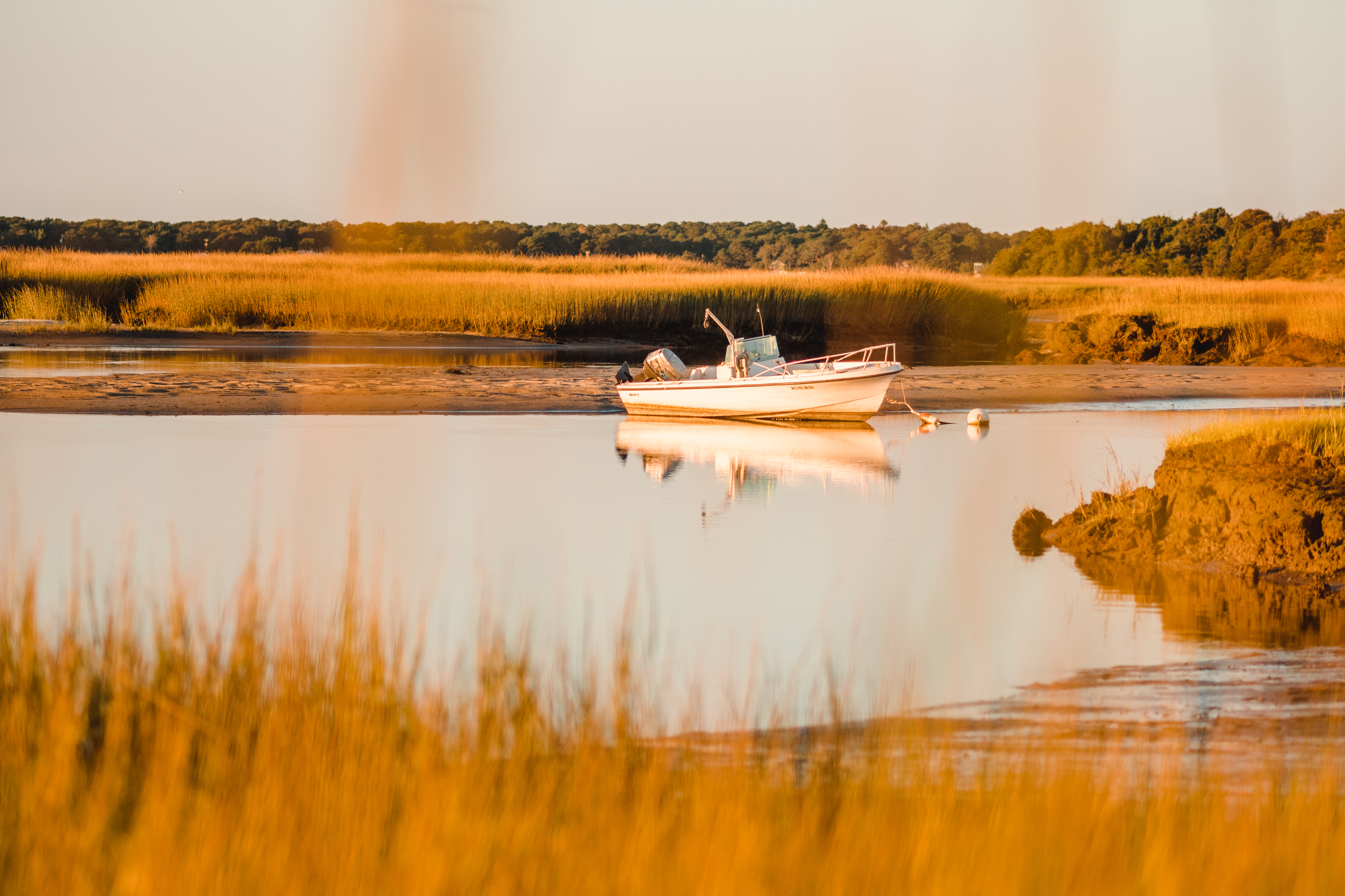 tourisme à cape cod