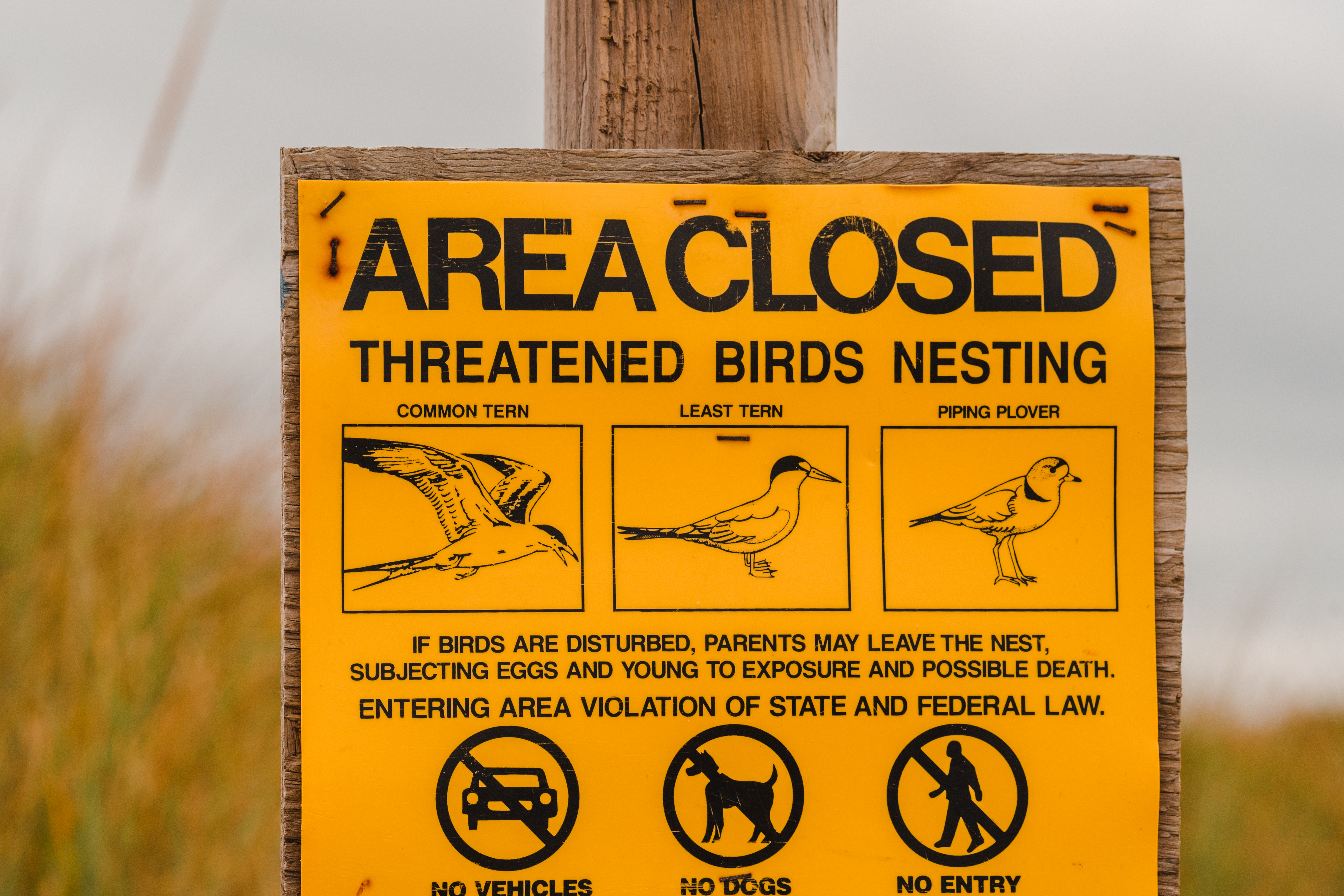 tourisme à cape cod