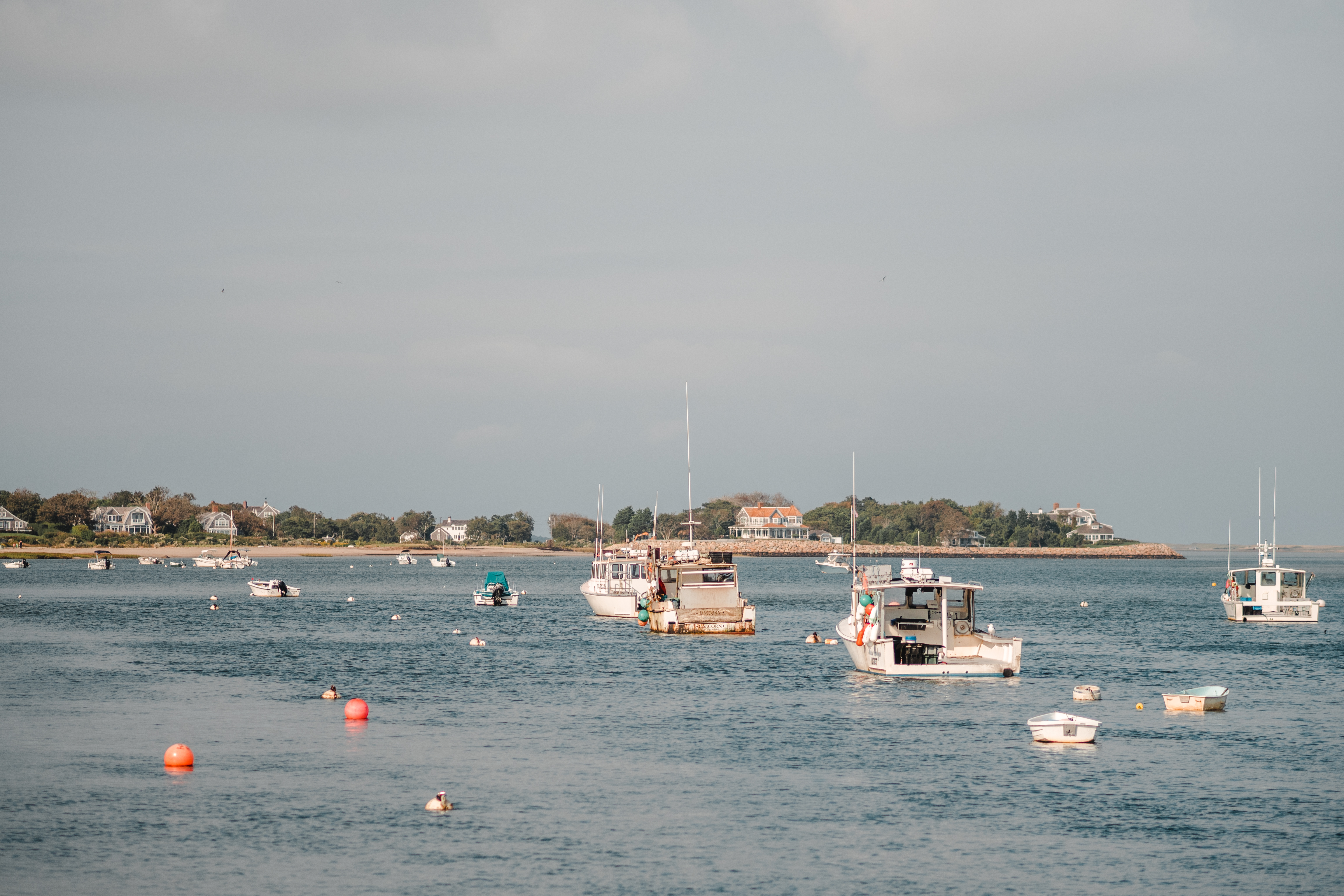 tourisme à cape cod