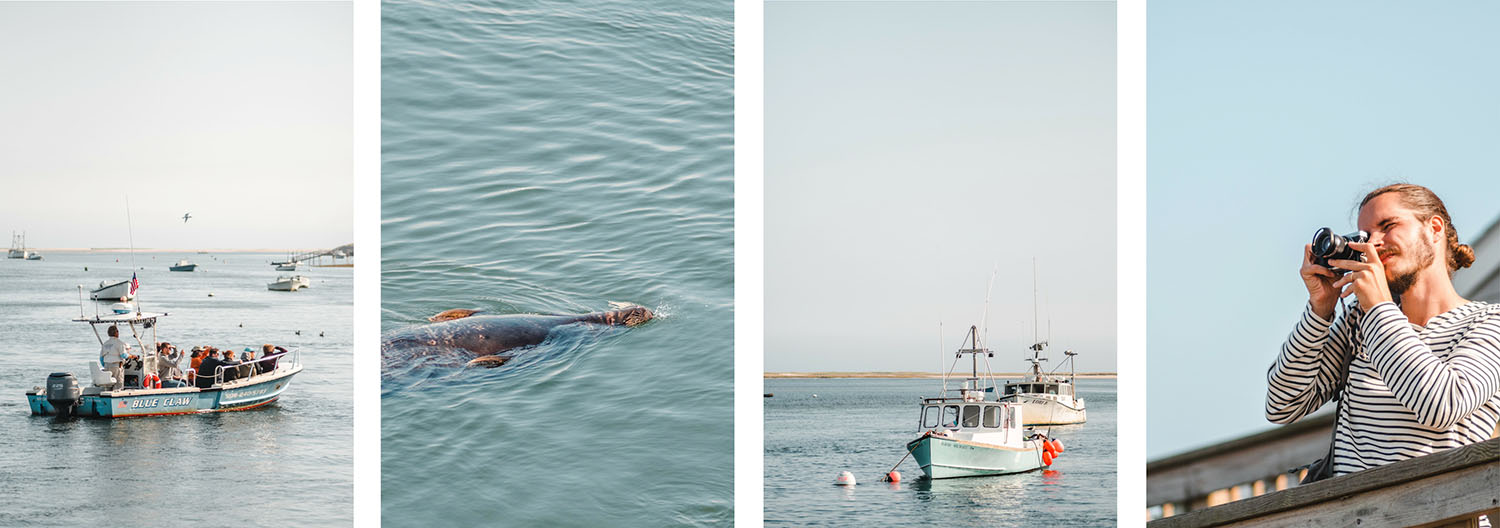 tourisme à cape cod