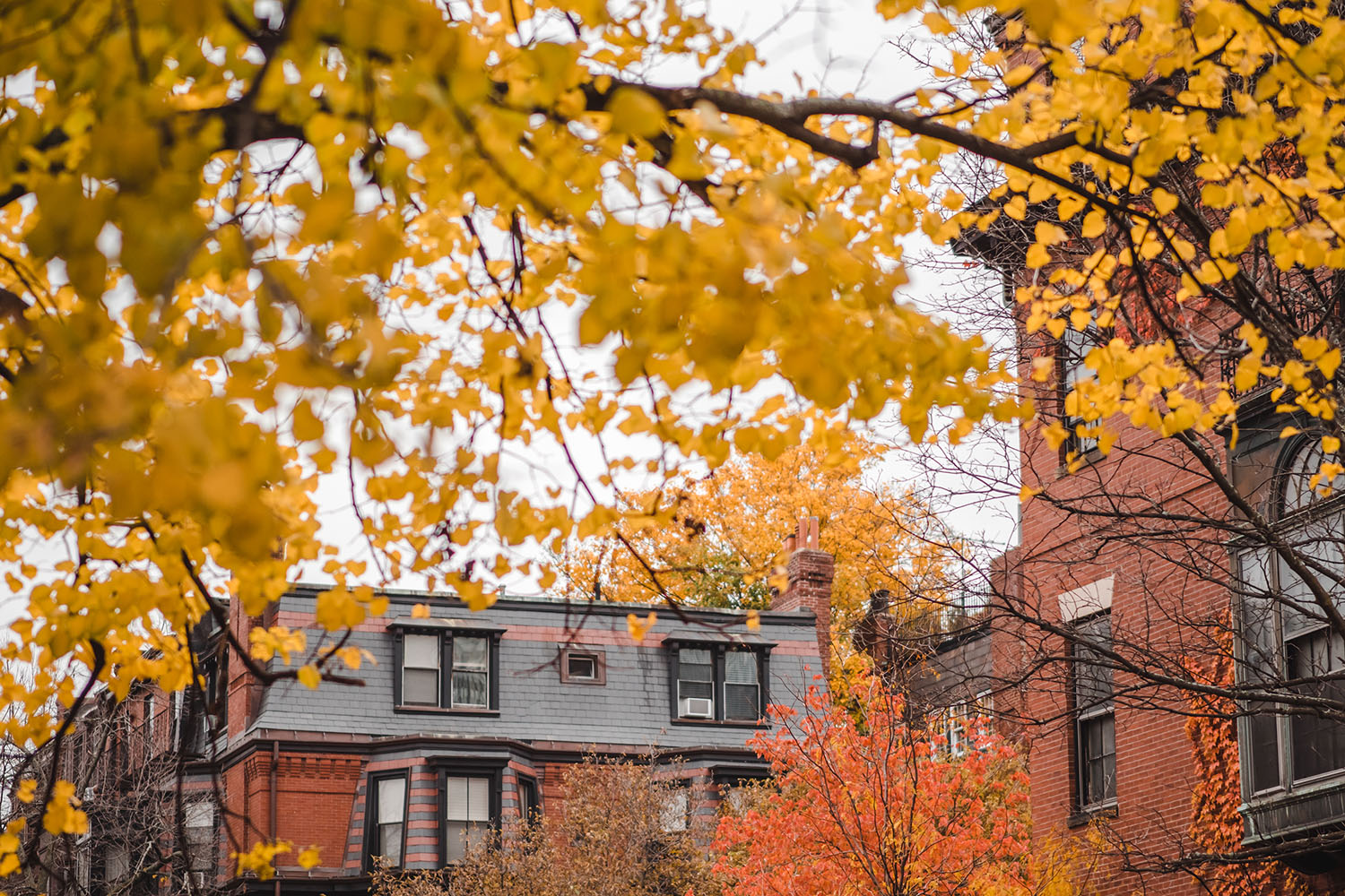 automne à Boston, massachusetts