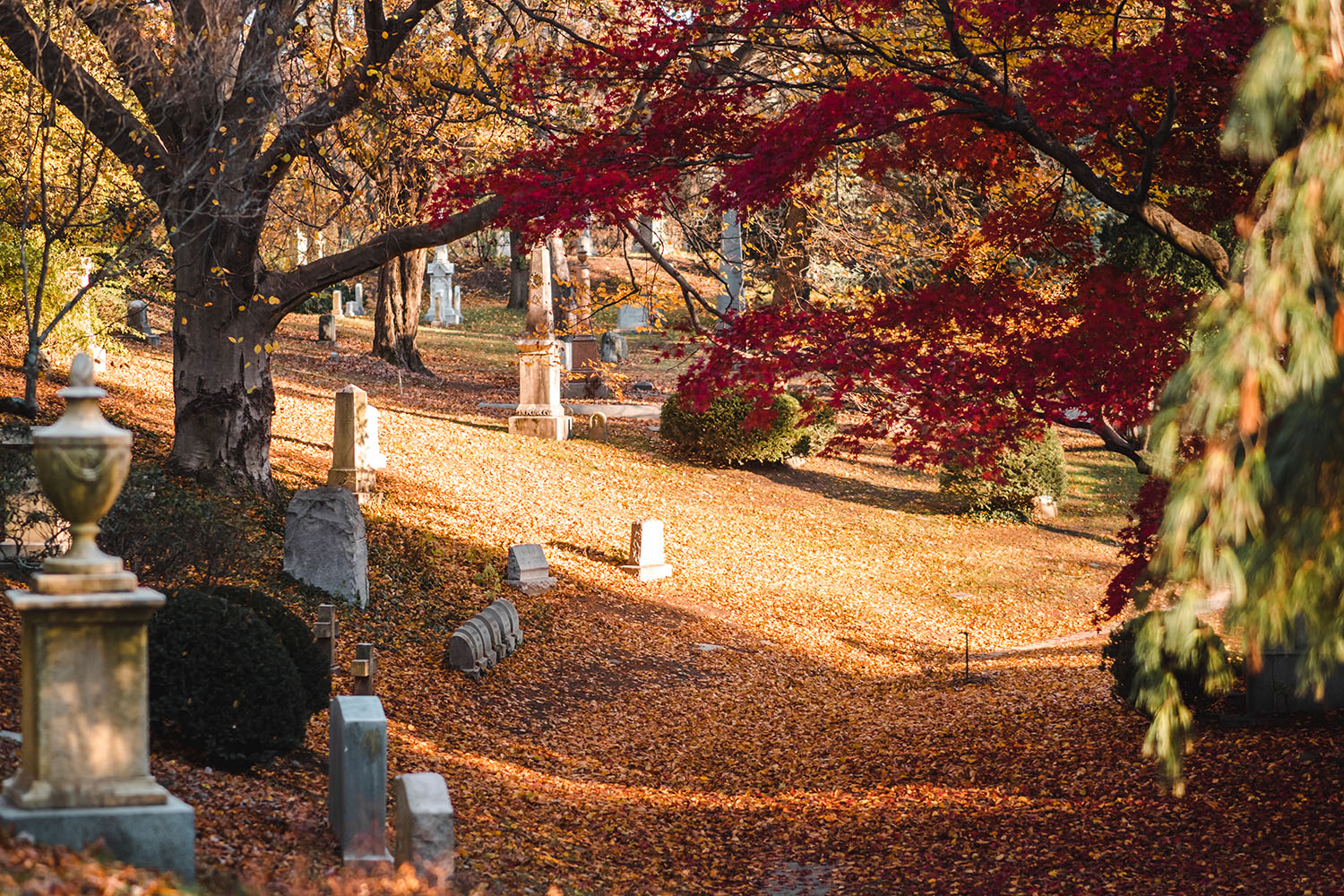 automne à Boston, massachusetts