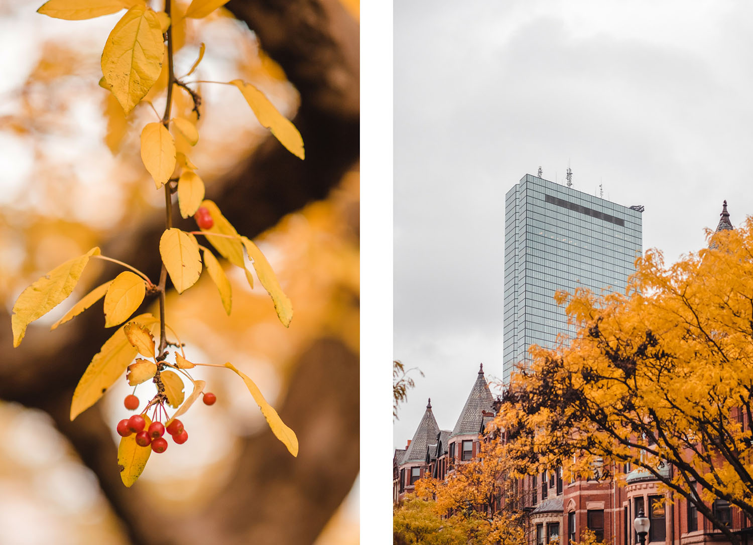 automne à Boston, massachusetts