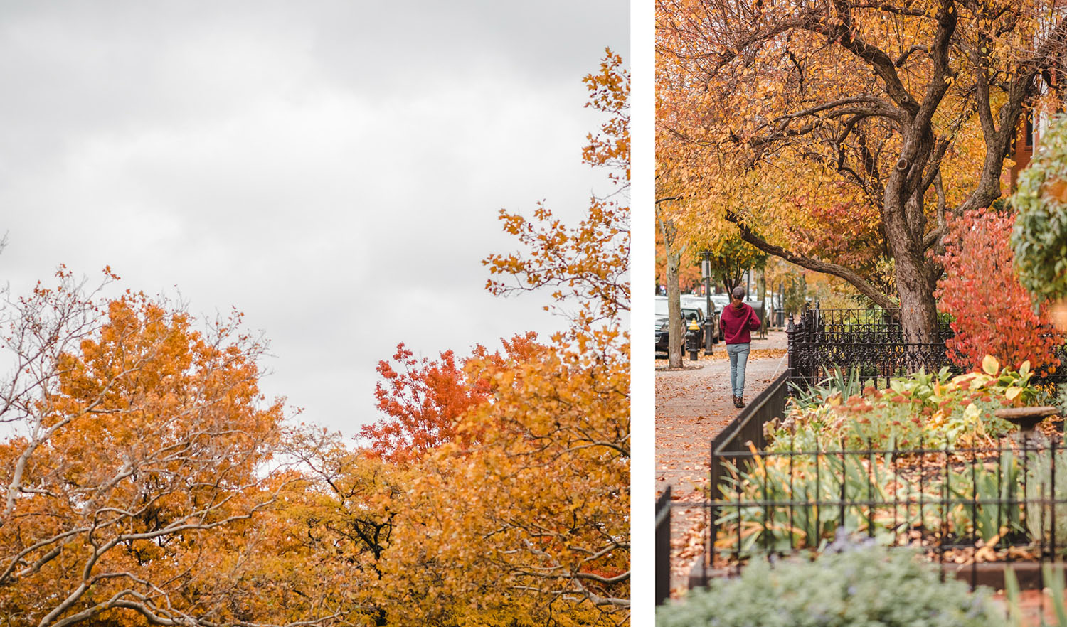 autumn in Boston