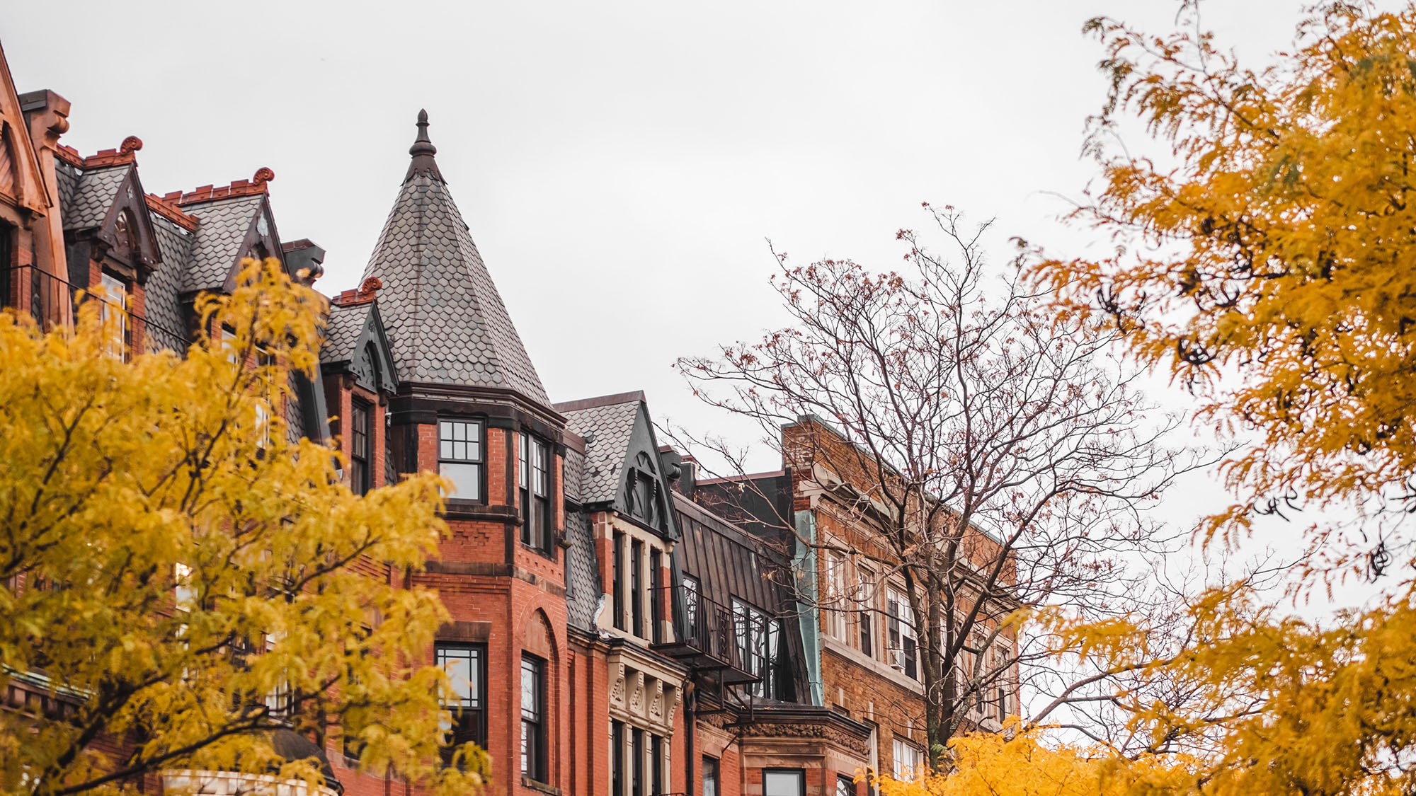 autumn in Boston 2018