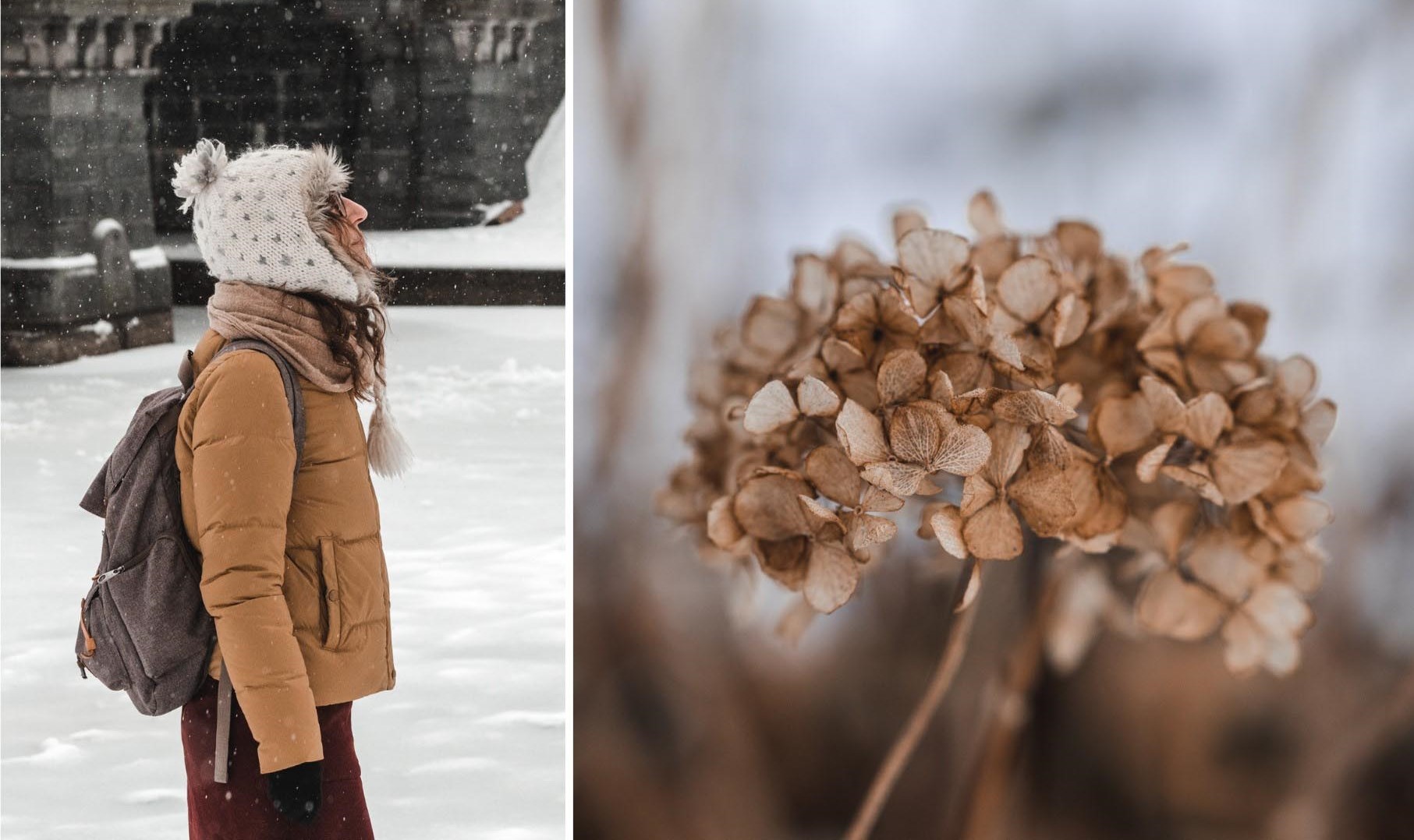 survivre un hiver à Boston