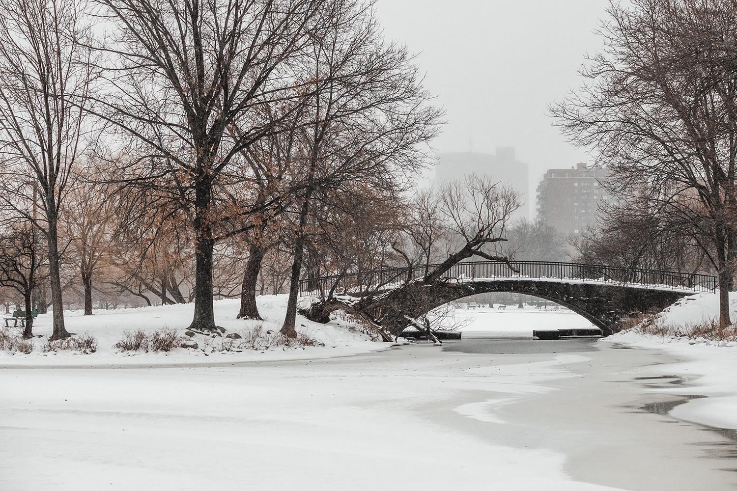 survivre un hiver à Boston