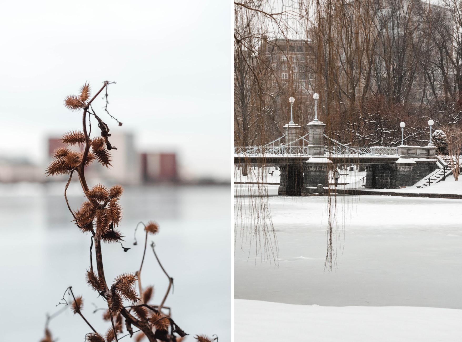 survivre un hiver à Boston