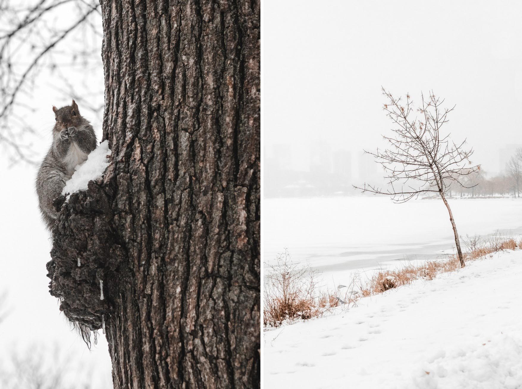 survivre un hiver à Boston