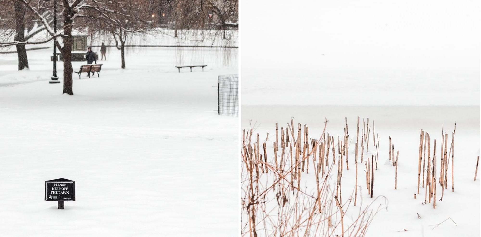 survivre un hiver à Boston