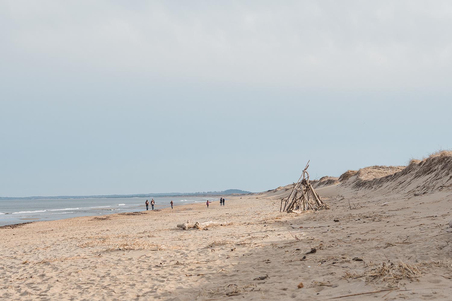 Plum Island