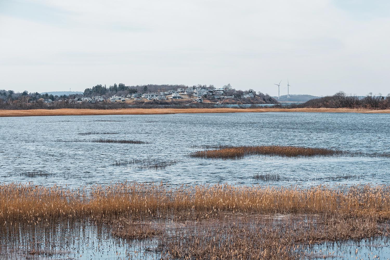 Plum Island